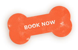 https://aunthollyshvl.com/wp-content/uploads/2019/08/book_now_shadow.png