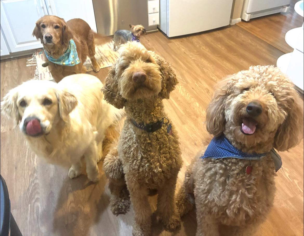 Aunt Holly Dogs 5